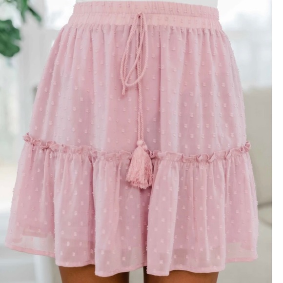 Dresses & Skirts - Pink Swiss Dot Skirt